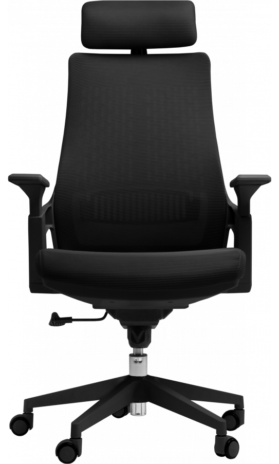 Aurora Ergonomic Mesh Office Chair: - Image 3